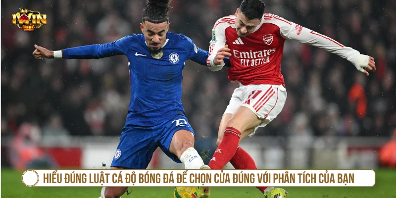 Hiểu đúng luật cá độ bóng đá cơ bản trước khi chọn cửa cược
