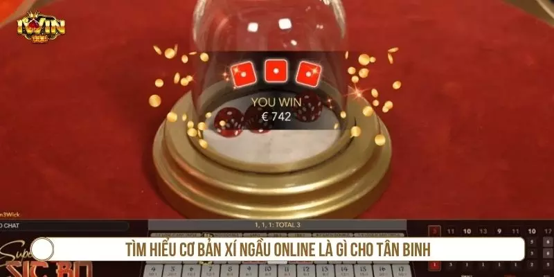Thông tin cơ bản về xí ngầu online là gì 
